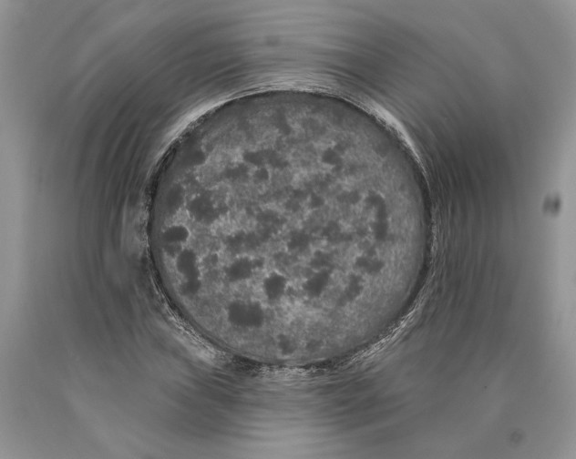 X0000089961019200707271857