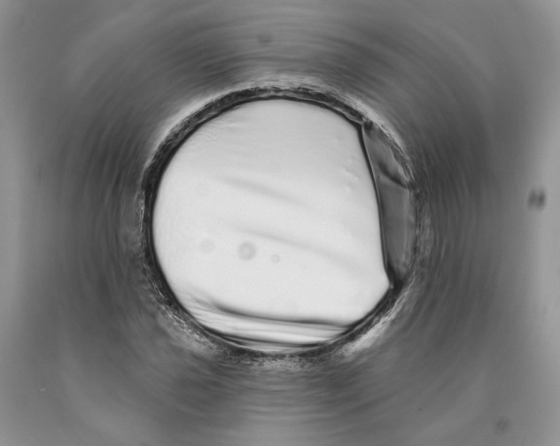 X0000089961021200707271857