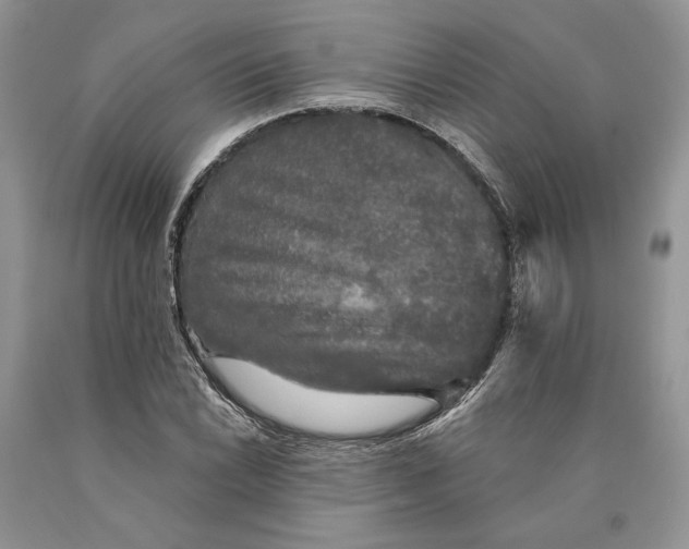 X0000089961022200707271857