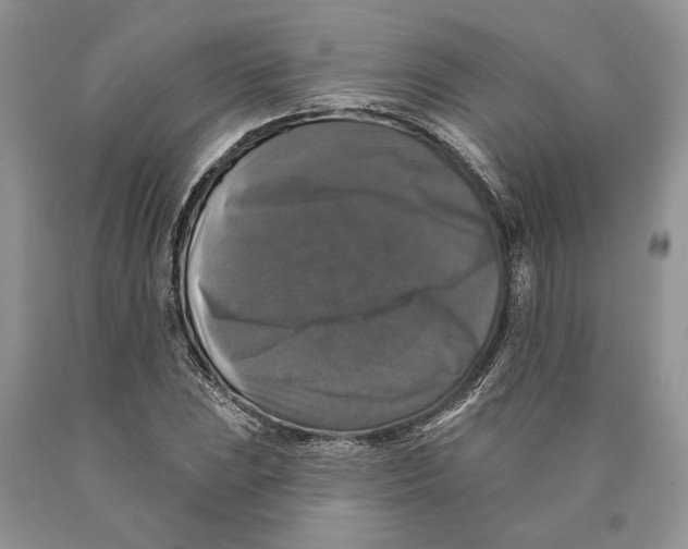 X0000089961023200707271857