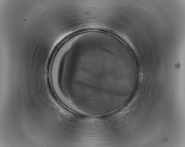 X0000089961024200707271857