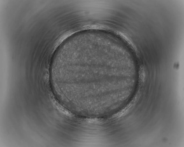 X0000089961025200707271857