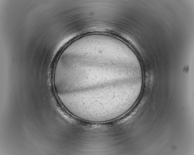 X0000089961026200707271857