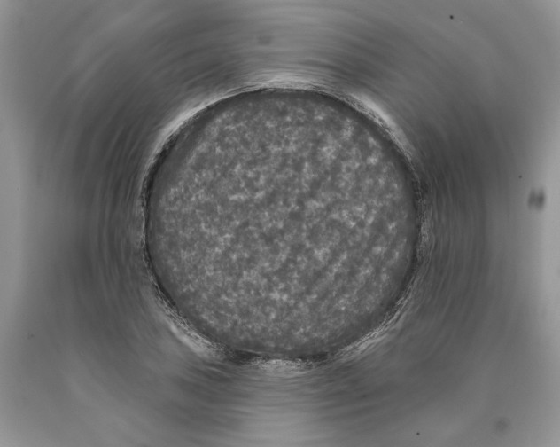 X0000089961027200707271857