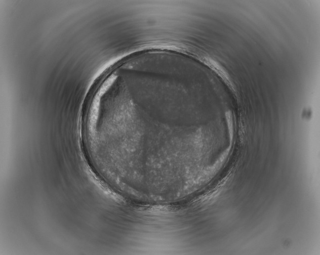 X0000089961028200707271857