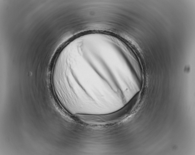 X0000089961029200707271857