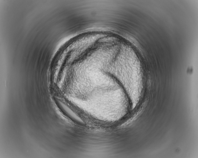 X0000089961030200707271857