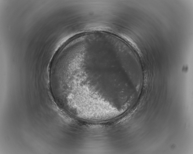 X0000089961031200707271857