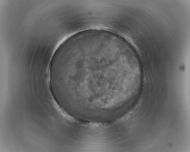 X0000089961032200707271857