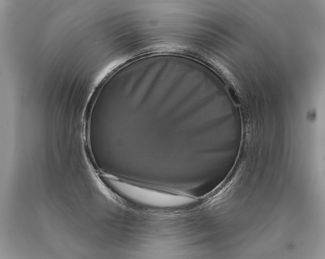 X0000089961034200707271857