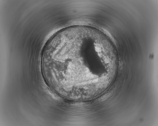 X0000089961035200707271857