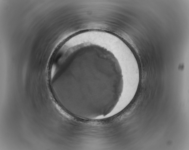 X0000089961037200707271857