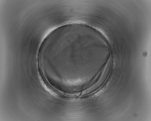 X0000089961038200707271857