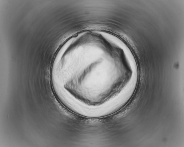 X0000089961041200707271857