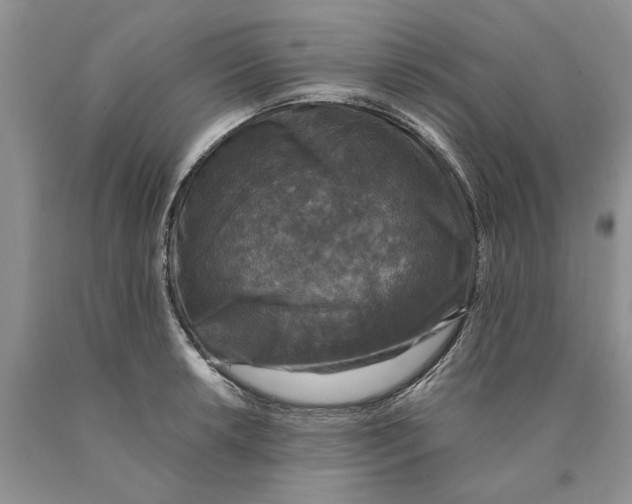 X0000089961042200707271857