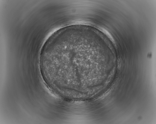 X0000089961043200707271857