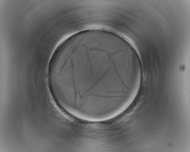 X0000089961045200707271857