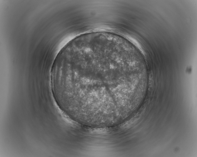 X0000089961047200707271857