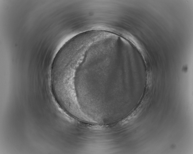 X0000089961048200707271857