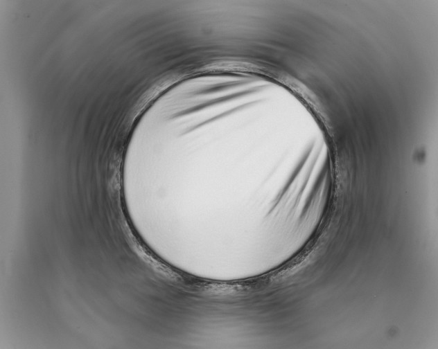 X0000089961049200707271857