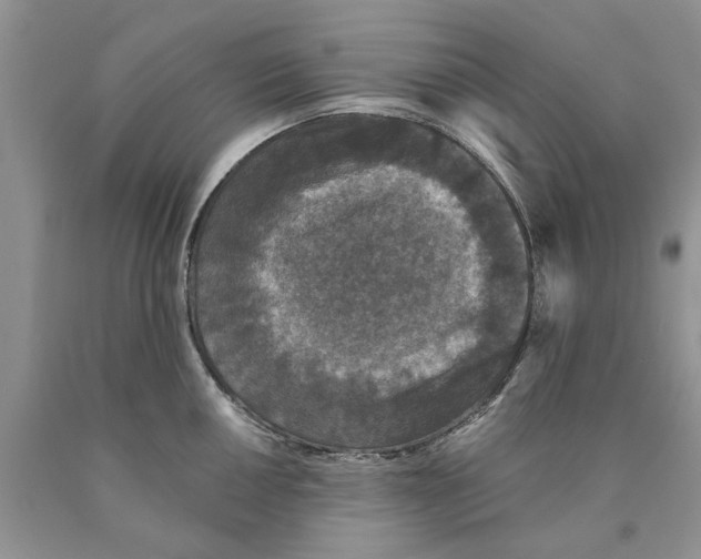 X0000089961050200707271857