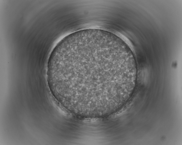 X0000089961051200707271857