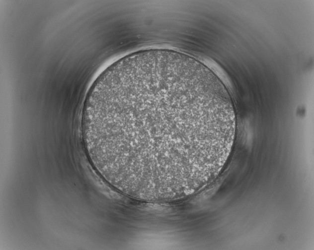 X0000089961052200707271857