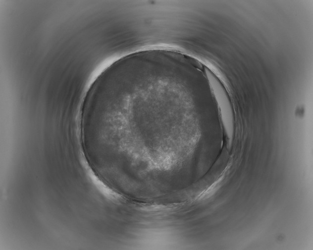 X0000089961054200707271857