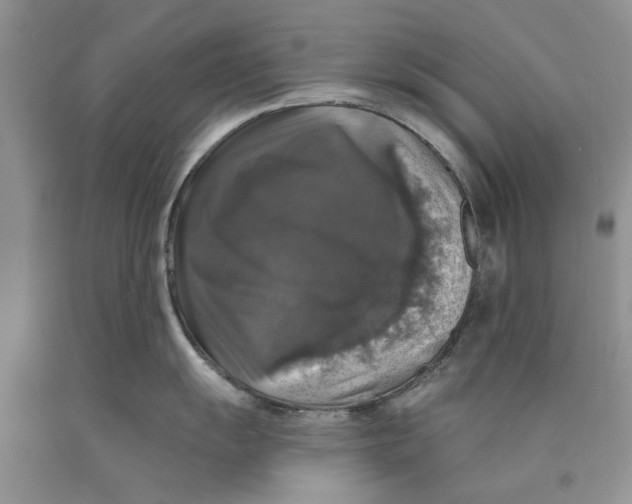 X0000089961055200707271857