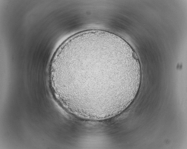 X0000089961056200707271857