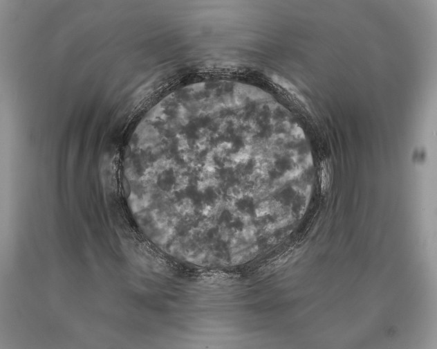 X0000089961059200707271856