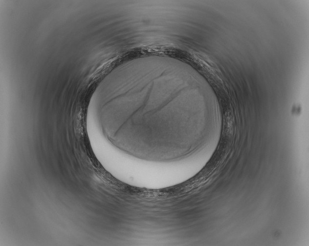 X0000089961060200707271856