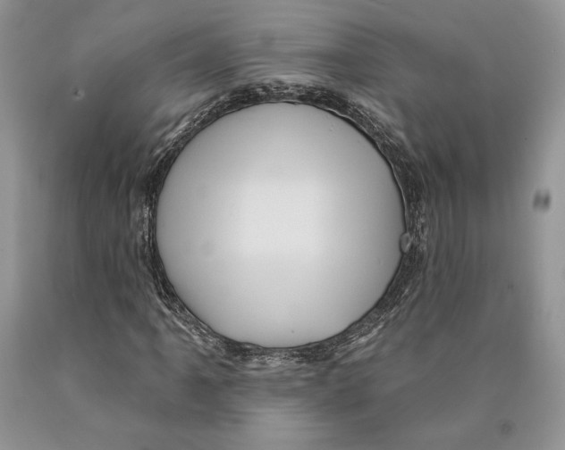 X0000089961061200707271856