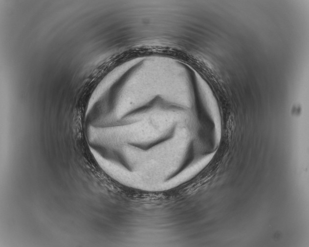 X0000089961062200707271856