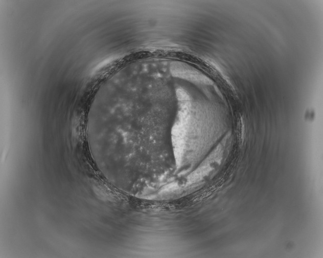 X0000089961063200707271856