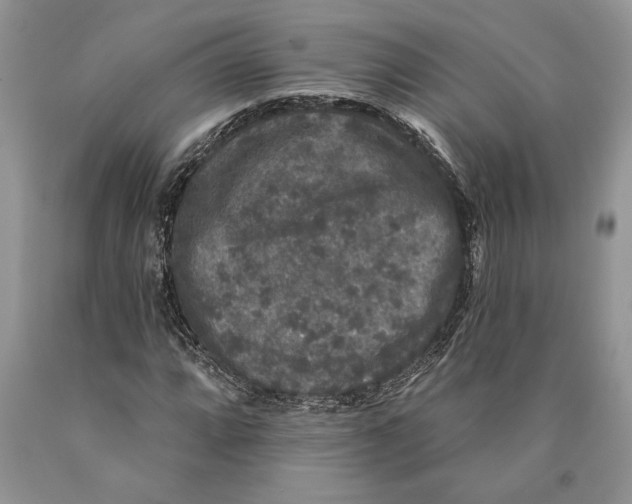 X0000089961064200707271856