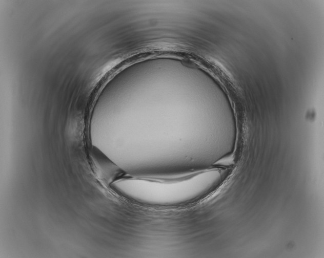 X0000089961065200707271856