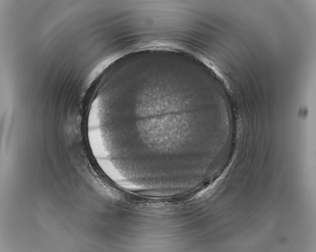 X0000089961066200707271856