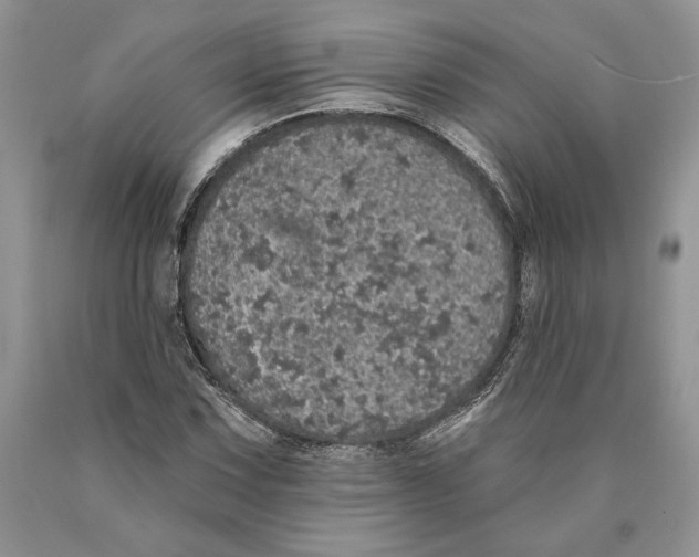 X0000089961067200707271856