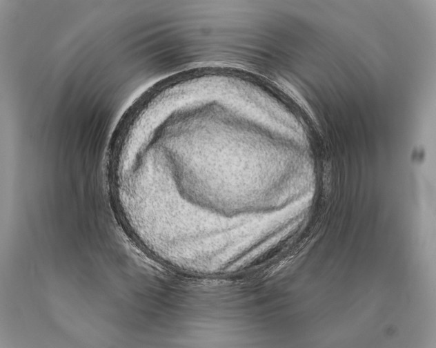 X0000089961068200707271856