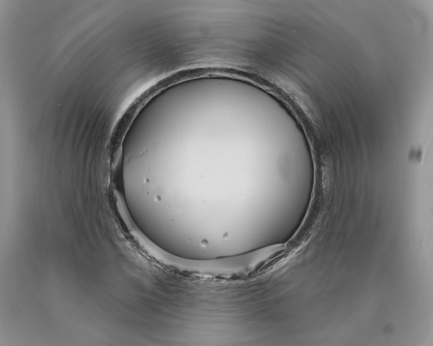 X0000089961069200707271856