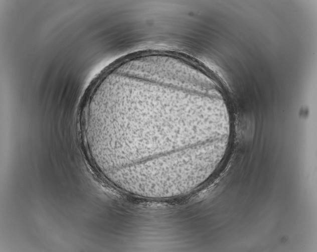 X0000089961070200707271856