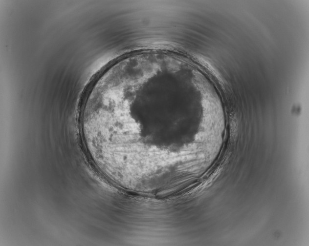 X0000089961071200707271856