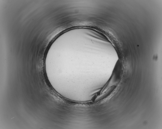 X0000089961073200707271856