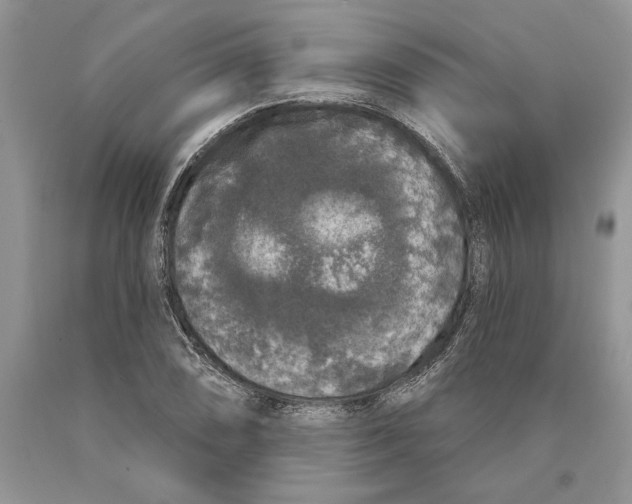 X0000089961074200707271856