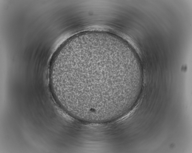 X0000089961075200707271856