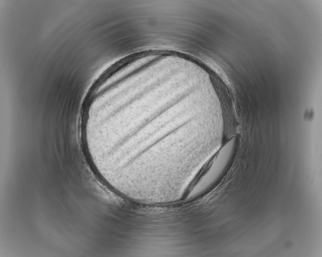 X0000089961076200707271856