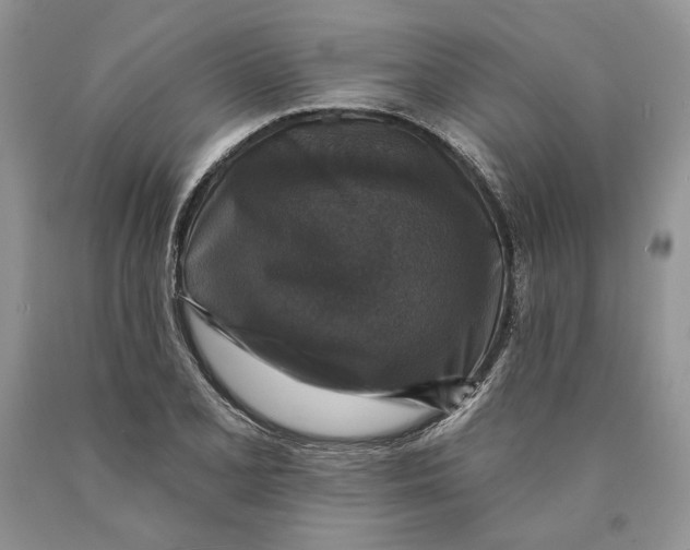 X0000089961077200707271856