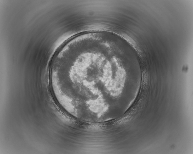 X0000089961078200707271856