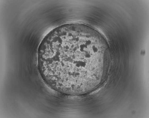 X0000089961079200707271856